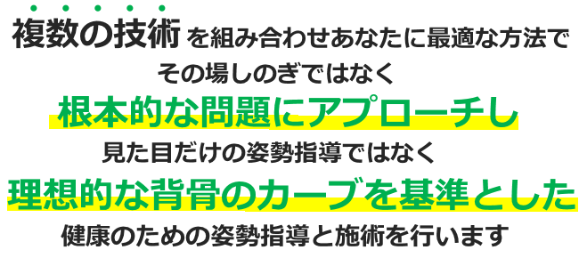 複数の技術を組み合わせあなたに最適な方法でその場しのぎではなく根本的な問題にアプローチし見た目だけの姿勢ではなく理想的な背骨のカーブを基準とした健康のための姿勢指導と施術を行います