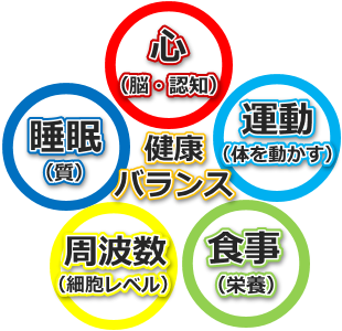 健康バランス