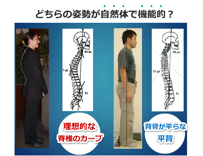 理想的な背骨のカーブは63度